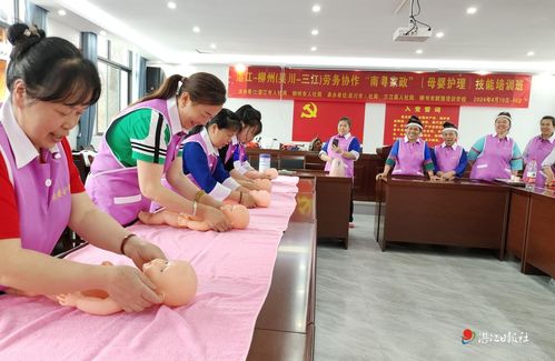 湛江 三項工程 交出亮眼 年中成績單