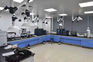 號外！玉環市食品藥品檢驗檢測中心搬家啦，家政服務同步煥新